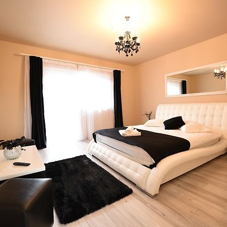 Hotel Vila Nicole Haţeg Zewnętrze zdjęcie
