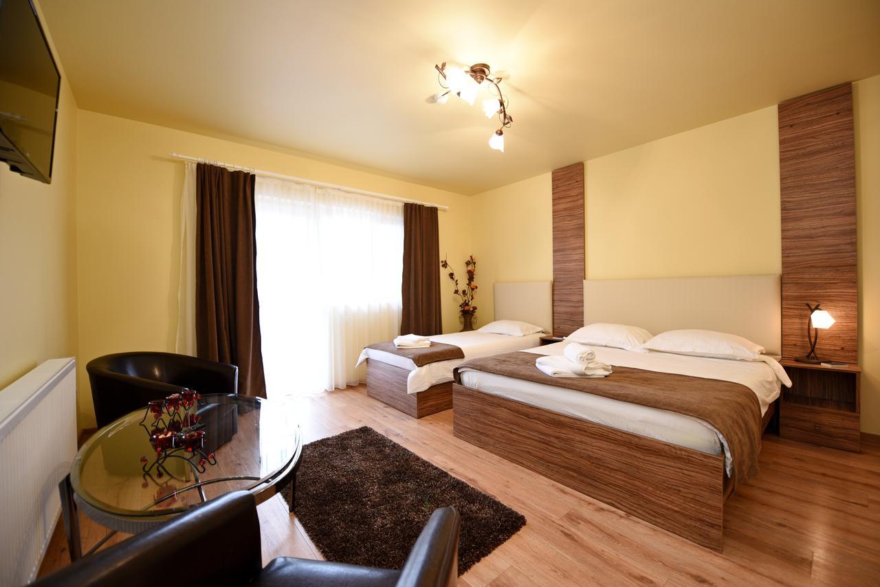 Hotel Vila Nicole Haţeg Zewnętrze zdjęcie