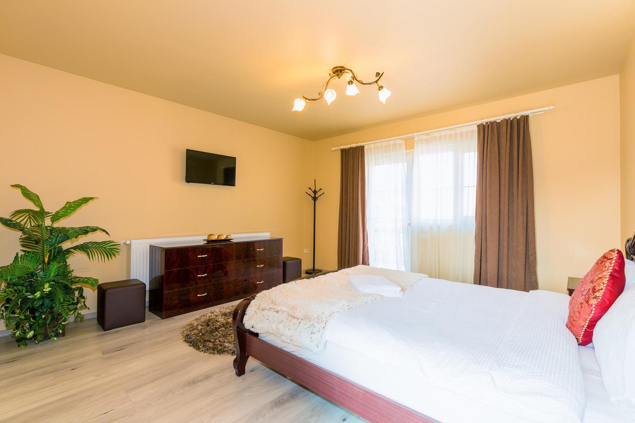 Hotel Vila Nicole Haţeg Zewnętrze zdjęcie