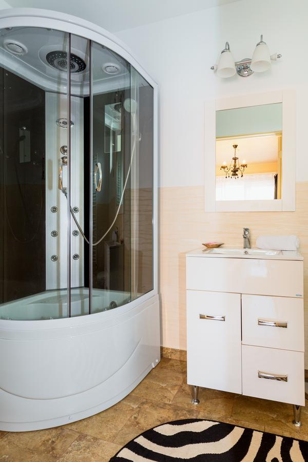 Hotel Vila Nicole Haţeg Zewnętrze zdjęcie