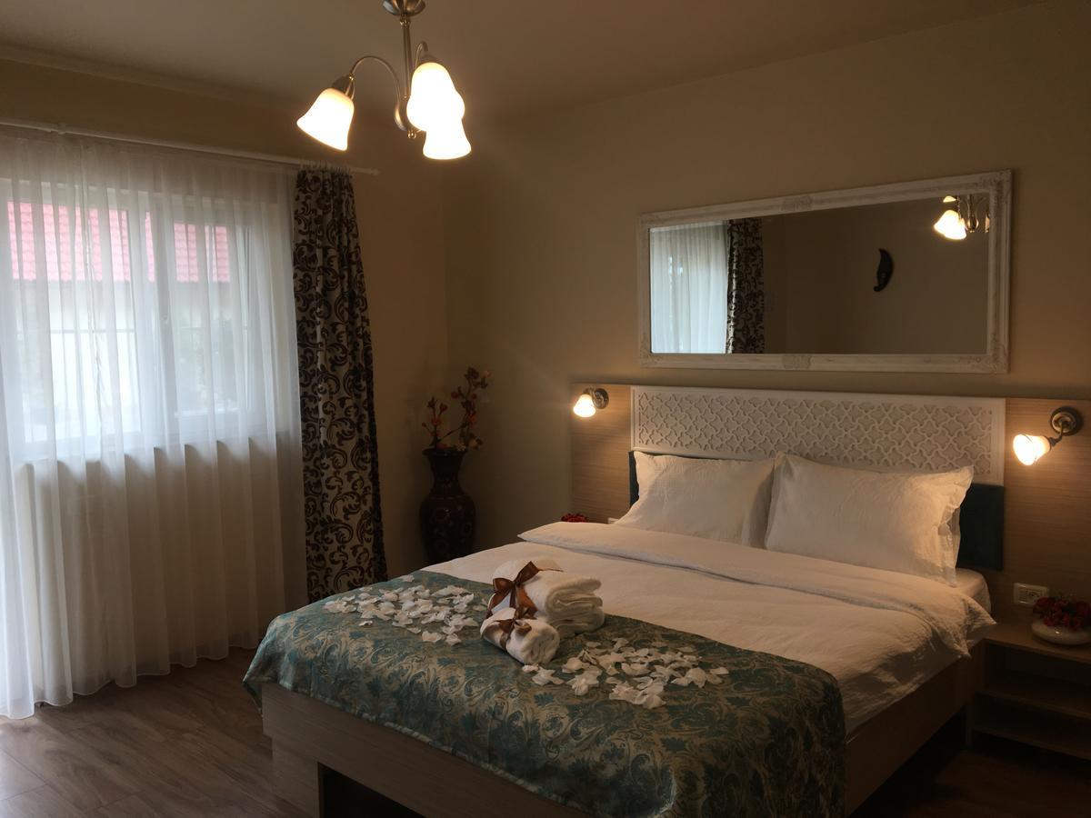 Hotel Vila Nicole Haţeg Zewnętrze zdjęcie