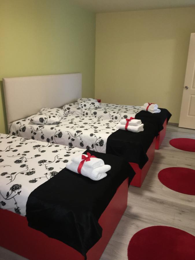 Hotel Vila Nicole Haţeg Zewnętrze zdjęcie