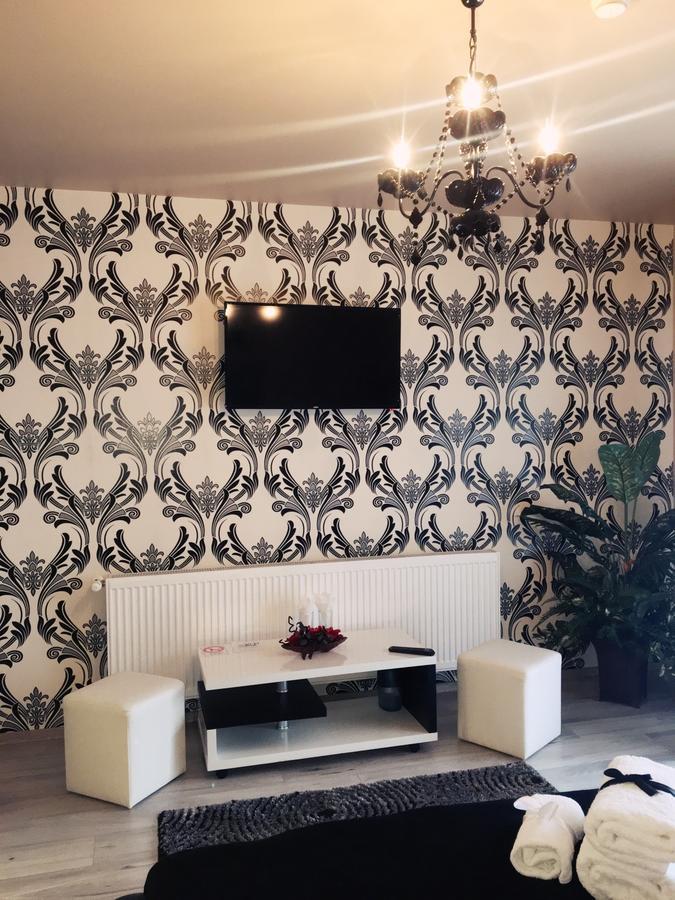 Hotel Vila Nicole Haţeg Zewnętrze zdjęcie