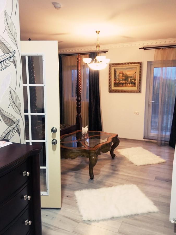 Hotel Vila Nicole Haţeg Zewnętrze zdjęcie