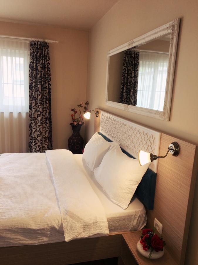 Hotel Vila Nicole Haţeg Zewnętrze zdjęcie