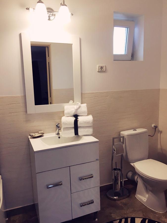 Hotel Vila Nicole Haţeg Zewnętrze zdjęcie