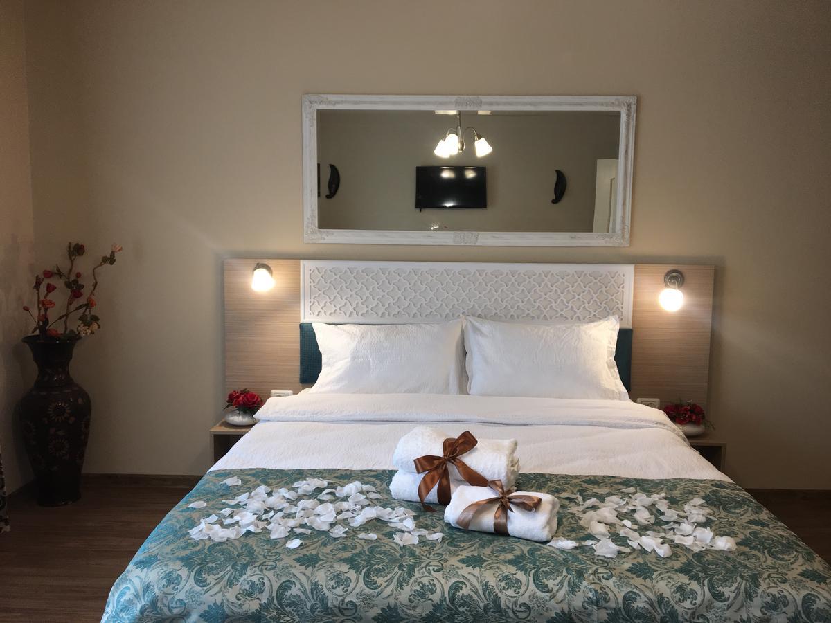 Hotel Vila Nicole Haţeg Zewnętrze zdjęcie