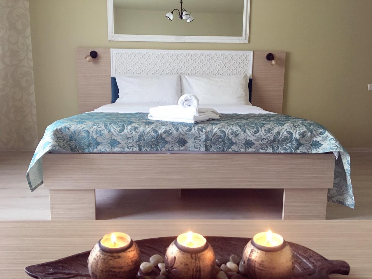 Hotel Vila Nicole Haţeg Zewnętrze zdjęcie