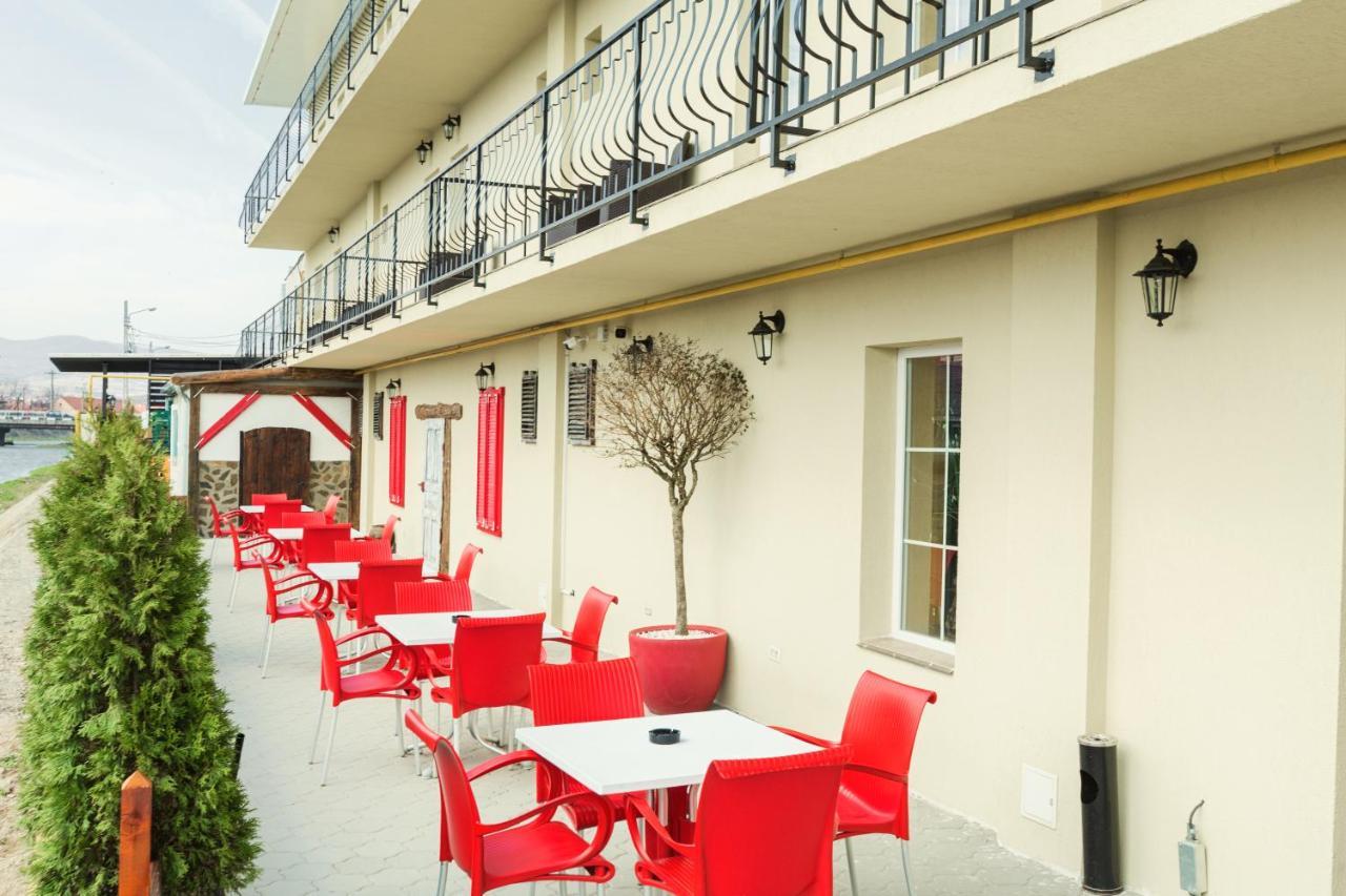 Hotel Vila Nicole Haţeg Zewnętrze zdjęcie